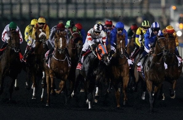 Racebets_Live_Stream